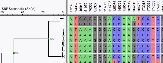 全基因组单核苷酸多态性wgSNP(Whole Genome Single Nucleotide Polymorphism)封面图